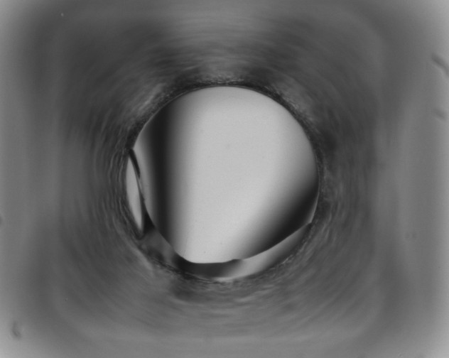 X0000097900021200803141404