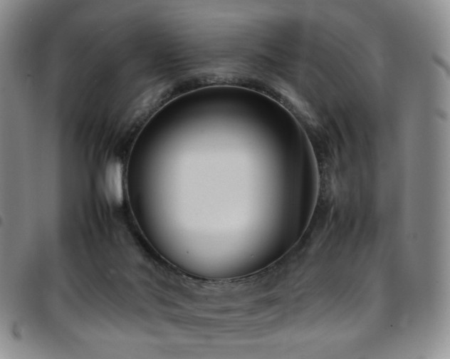 X0000097900022200803141404