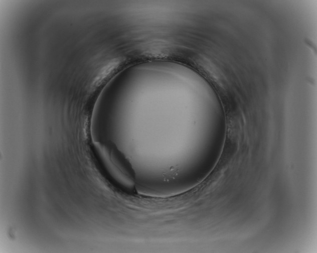 X0000097900023200803141404