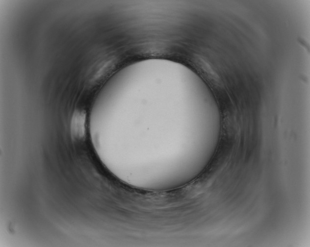 X0000097900024200803141404