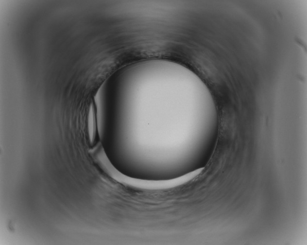 X0000097900025200803141404