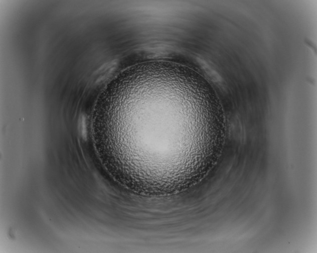 X0000097900026200803141404