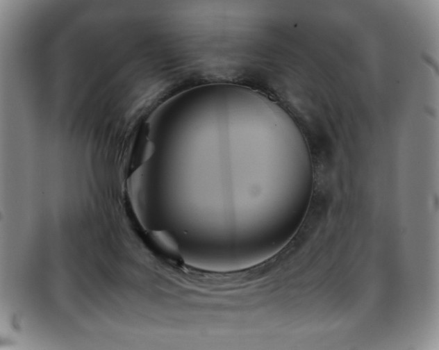 X0000097900027200803141404