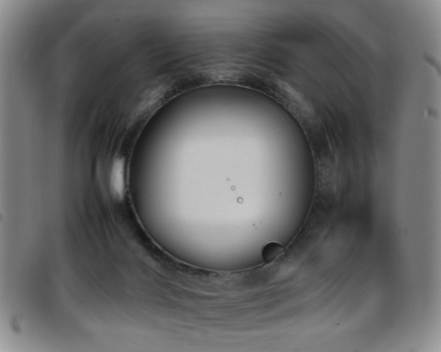 X0000097900028200803141404