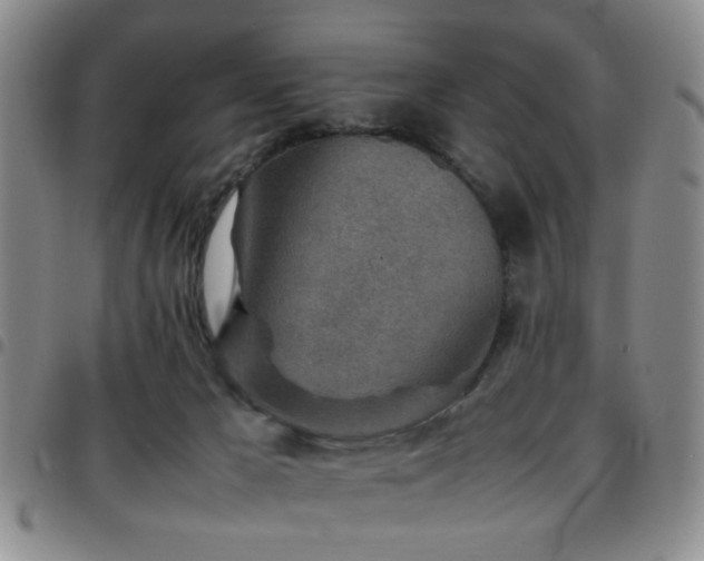 X0000097900029200803141404