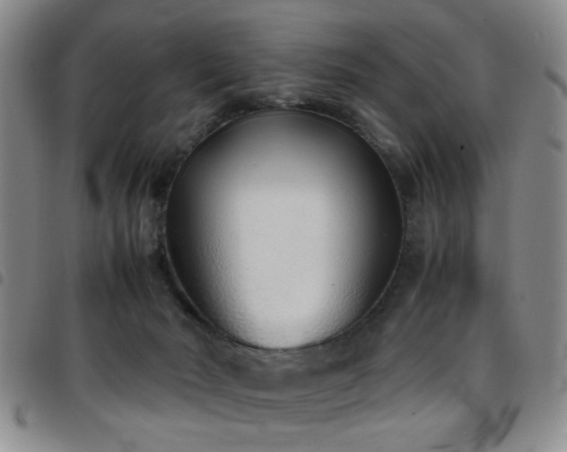 X0000097900030200803141404