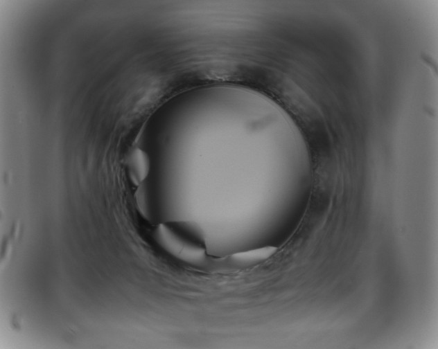 X0000097900031200803141404