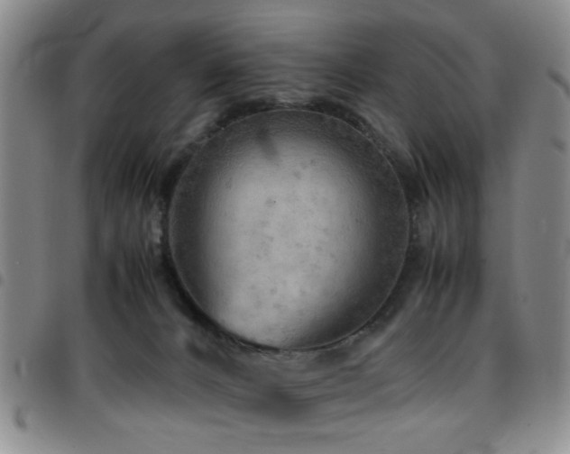 X0000097900032200803141404