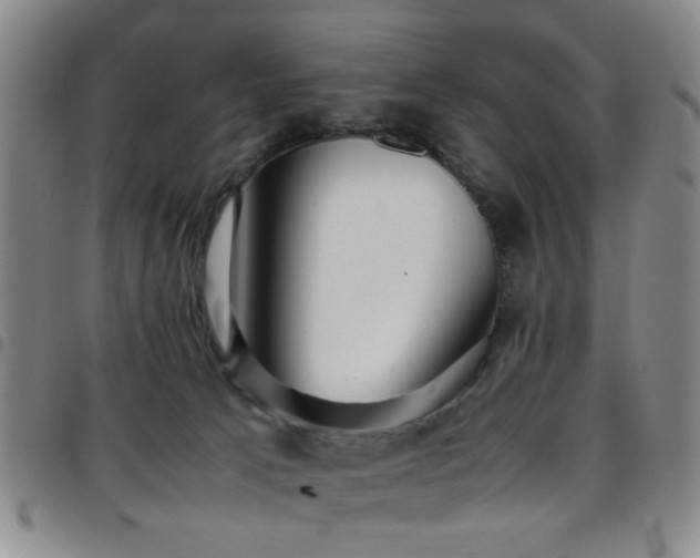 X0000097900033200803141404