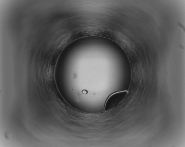 X0000097900034200803141404