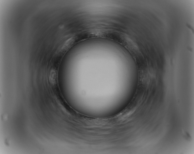 X0000097900036200803141404