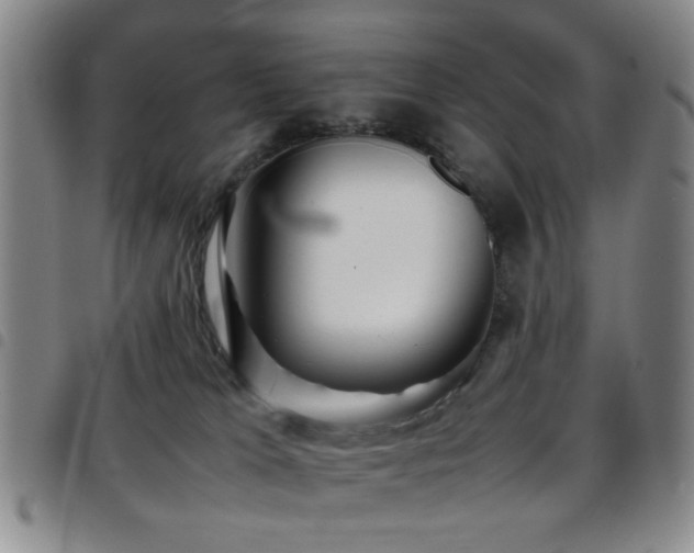 X0000097900037200803141404