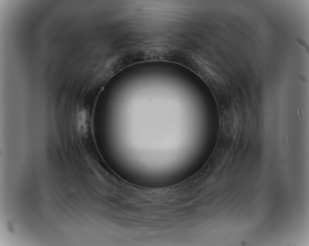 X0000097900038200803141404