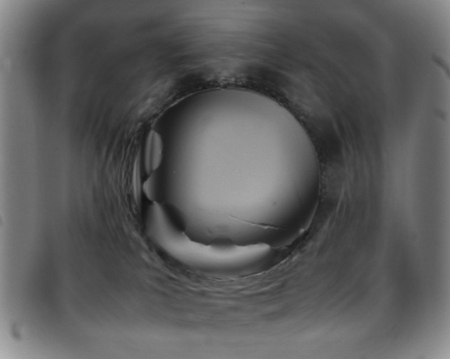 X0000097900039200803141404