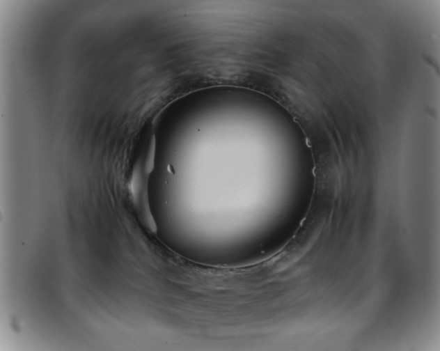 X0000097900040200803141404