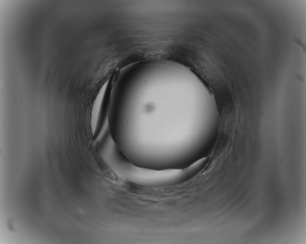 X0000097900041200803141404