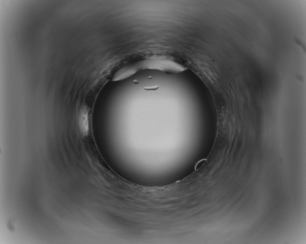 X0000097900042200803141404