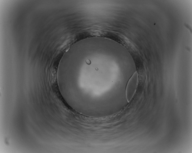 X0000097900043200803141404