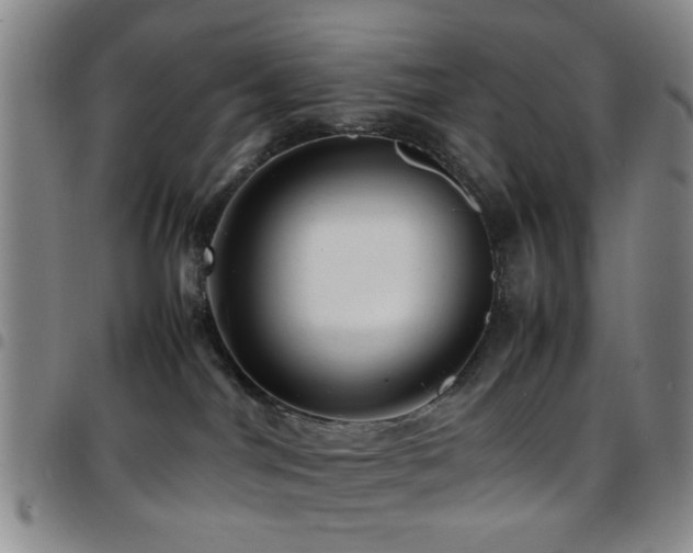 X0000097900044200803141404