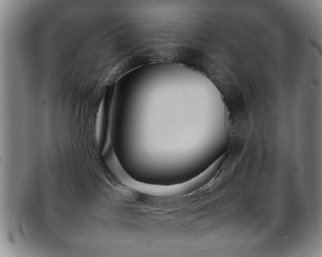 X0000097900045200803141404