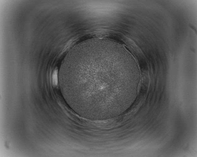 X0000097900046200803141404