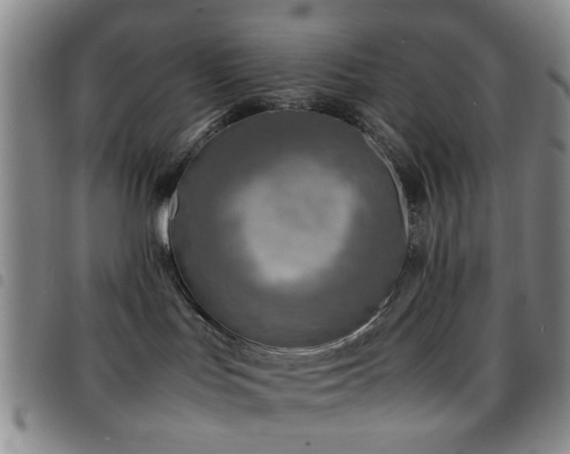 X0000097900047200803141404