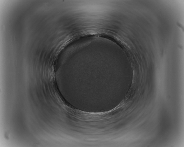 X0000097900048200803141404