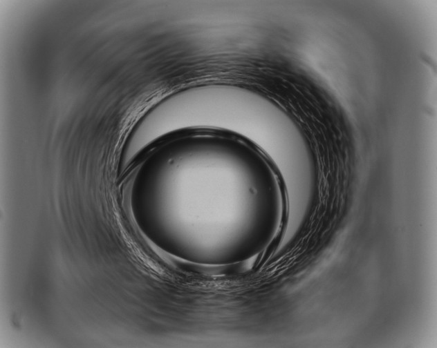 X0000097900049200803141403