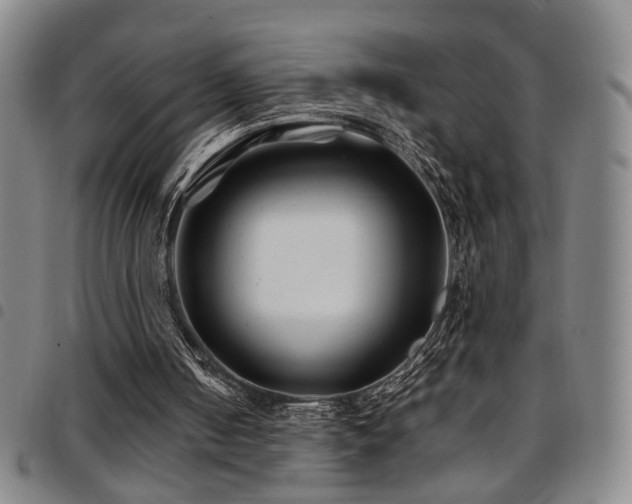 X0000097900050200803141403