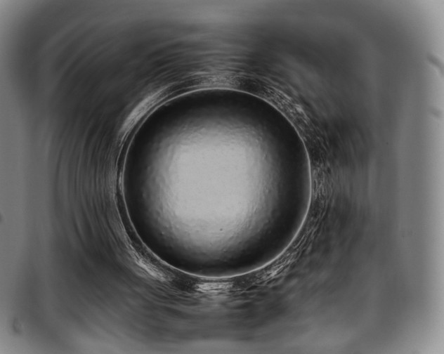 X0000097900051200803141403