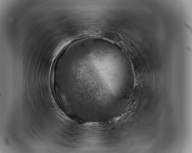 X0000097900052200803141403