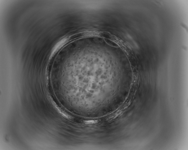 X0000097900053200803141403