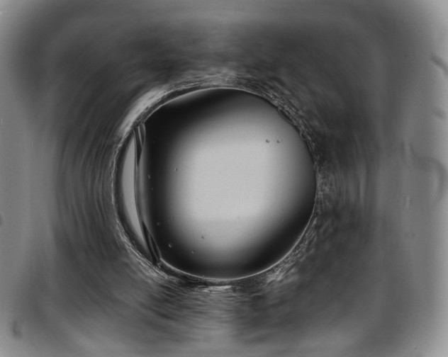 X0000097900054200803141403