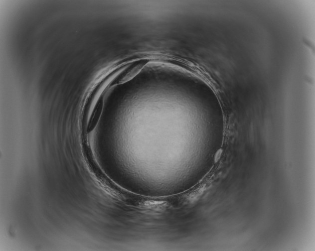 X0000097900055200803141403