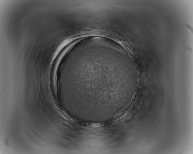 X0000097900056200803141403