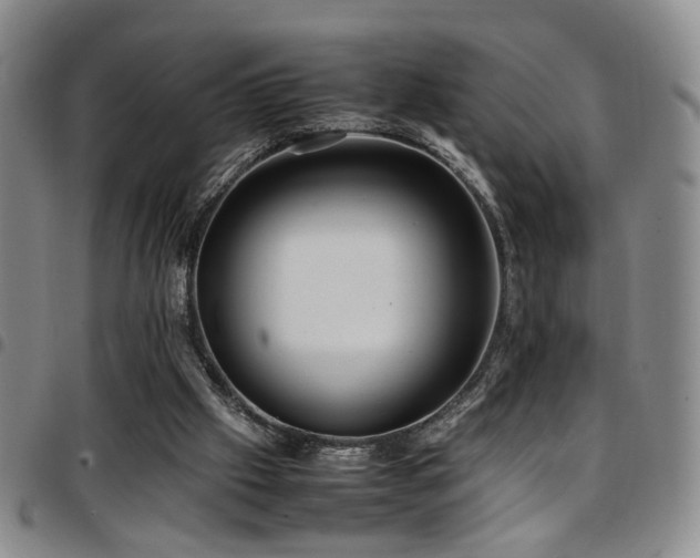 X0000097900057200803141403