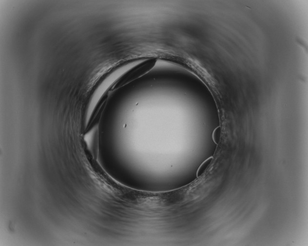 X0000097900058200803141403