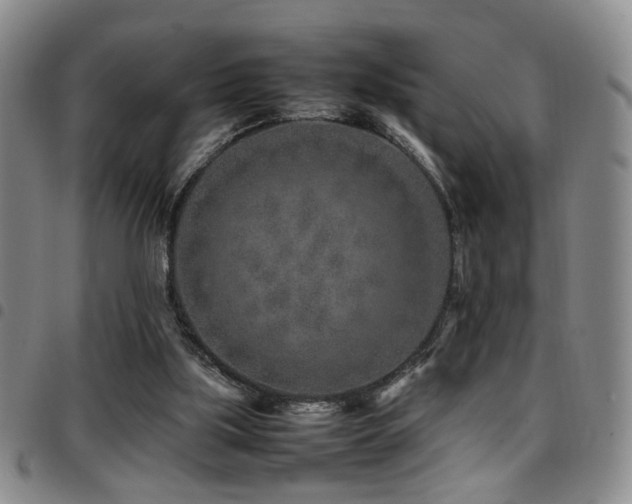 X0000097900059200803141403