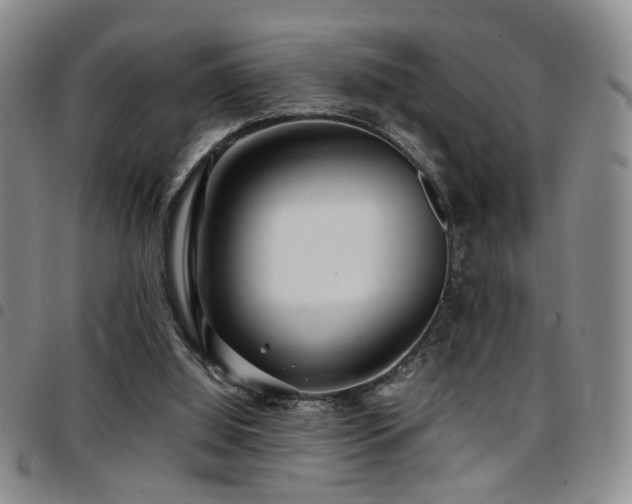 X0000097900060200803141403