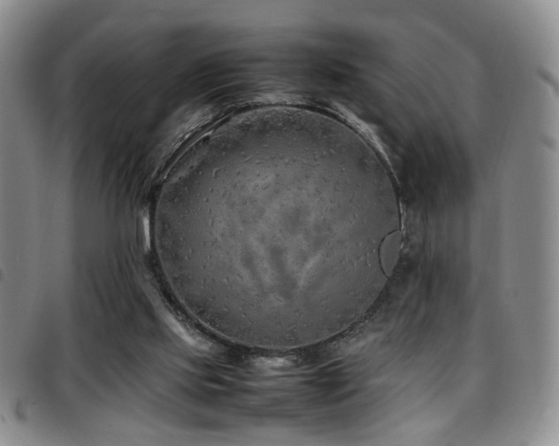 X0000097900061200803141403