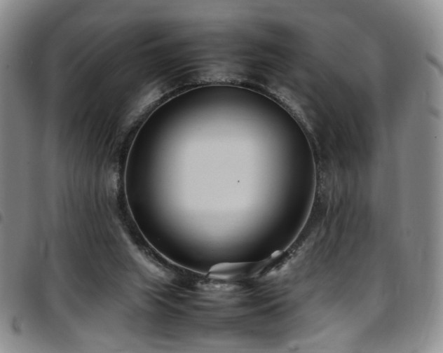 X0000097900063200803141404