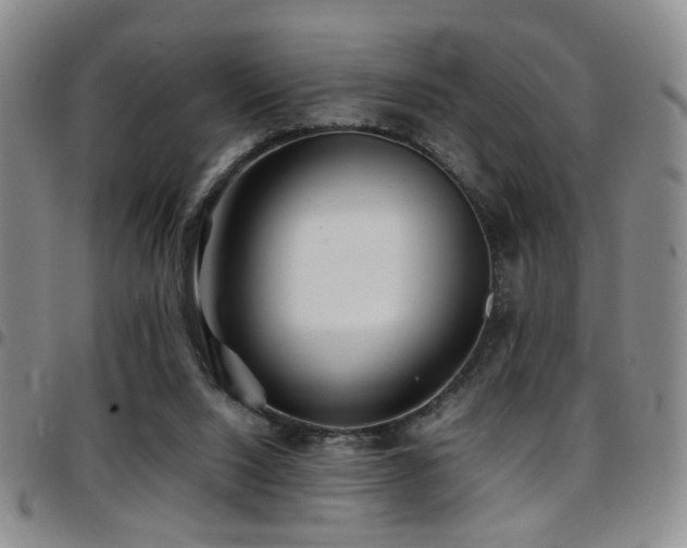 X0000097900064200803141404