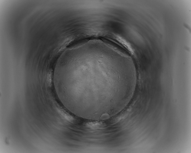 X0000097900065200803141404