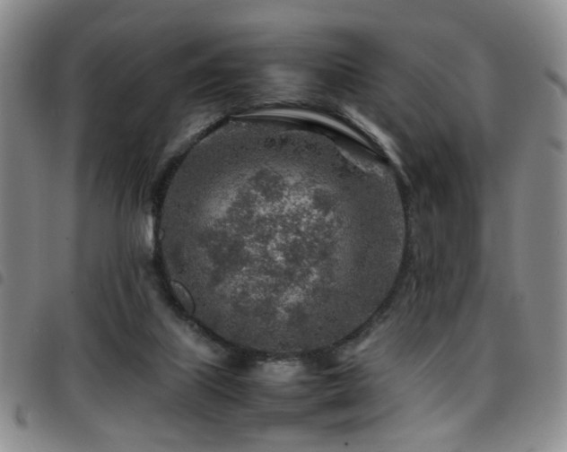 X0000097900067200803141404