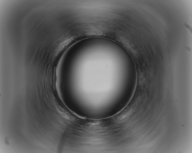 X0000097900068200803141404