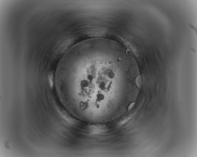 X0000097900069200803141404