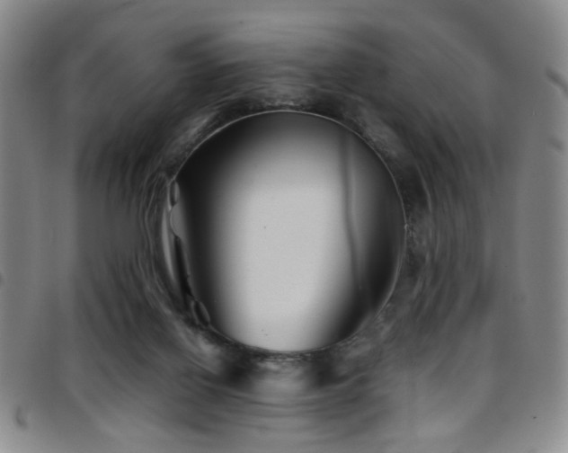 X0000097900070200803141404