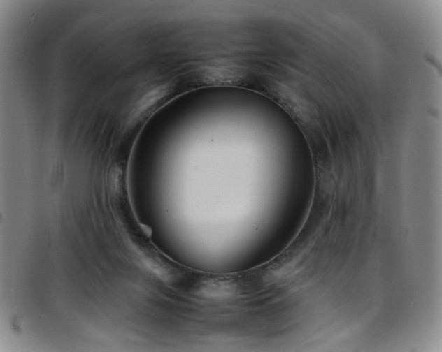 X0000097900071200803141404