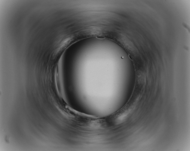 X0000097900072200803141404