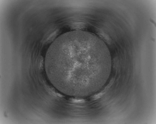 X0000097900073200803141404